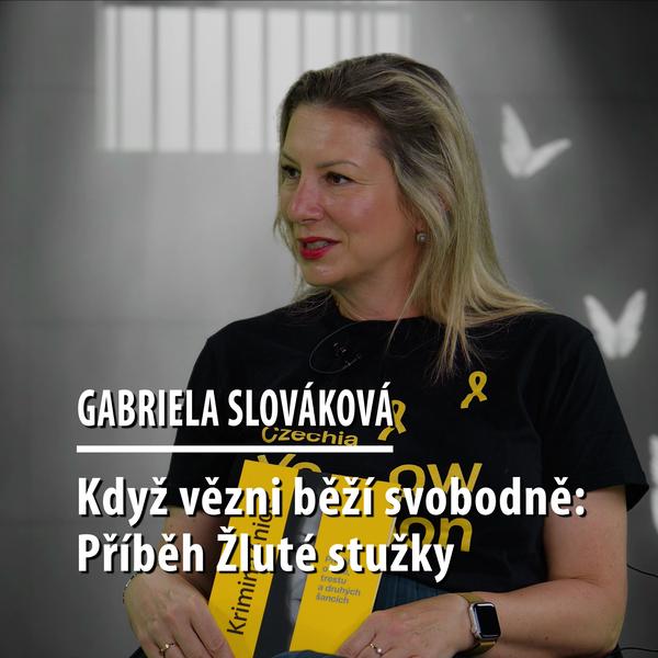 Motýl za katrem